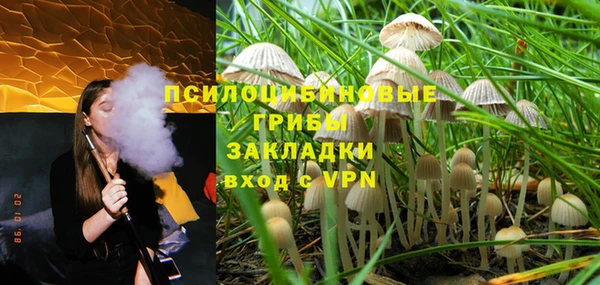 ALPHA PVP Краснослободск