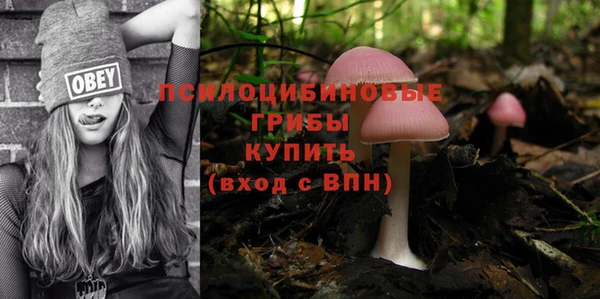 ALPHA PVP Краснослободск