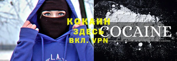 таблы Козельск