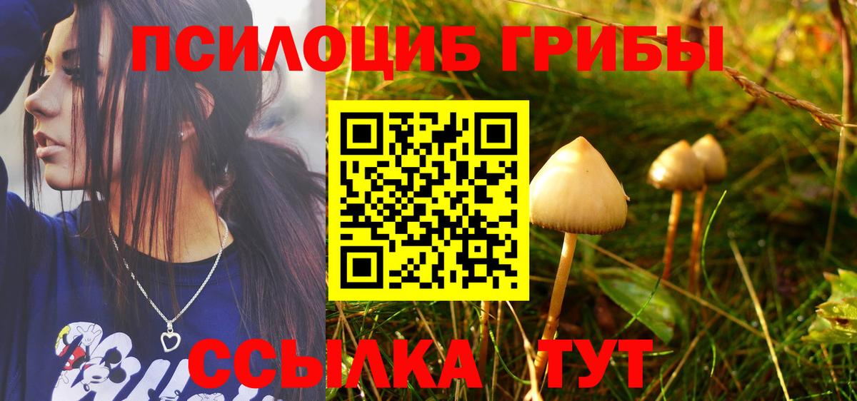 купить   Вход с VPN  Кашира  Псилоцибиновые грибы Magic Shrooms 