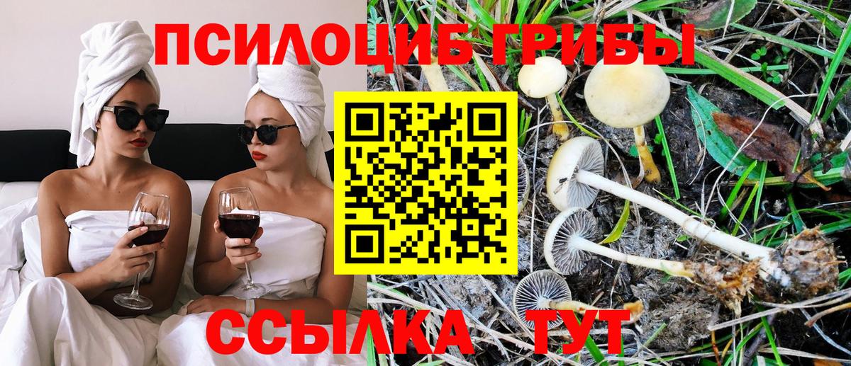 Псилоцибиновые грибы ЛСД Кашира