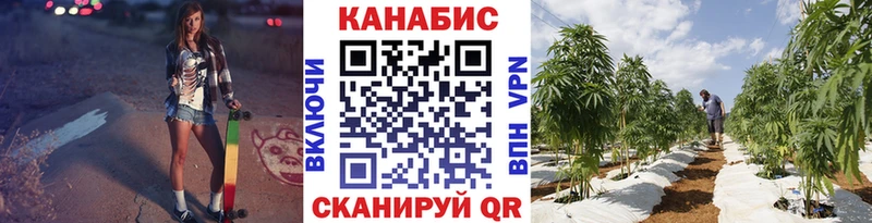 Шишки марихуана семена  нарко площадка наркотические препараты  Кашира  где купить наркоту 