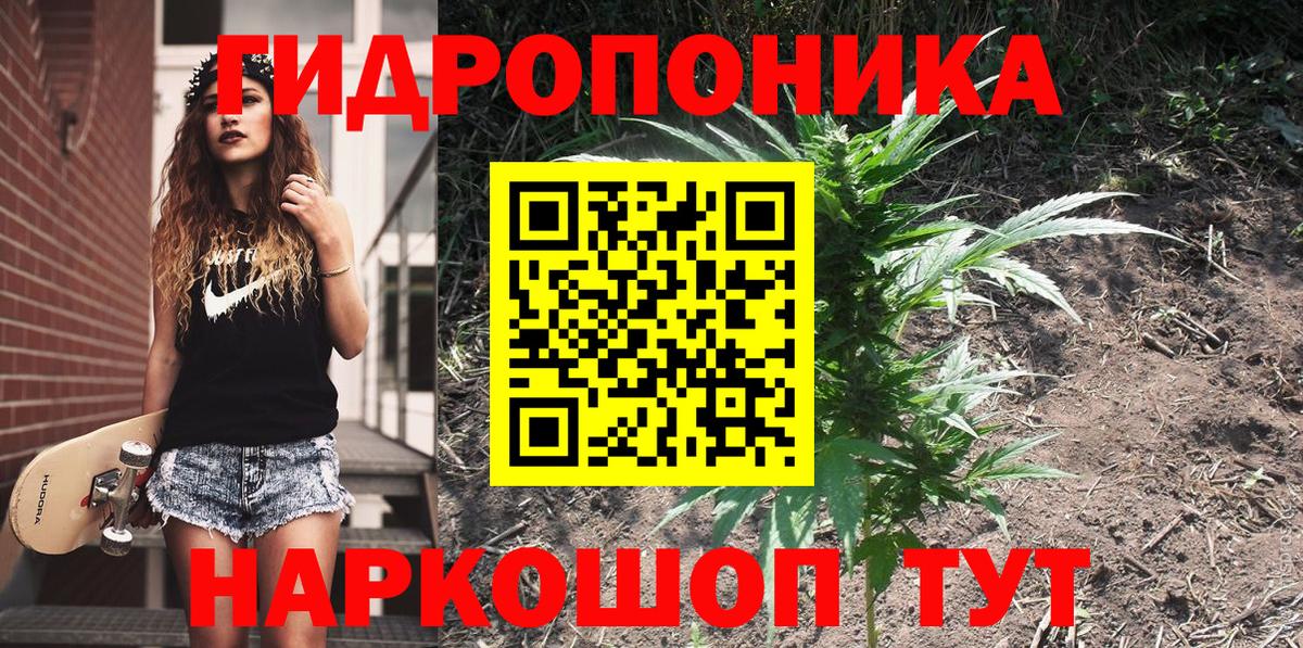 Шишки марихуана VHQ Кашира